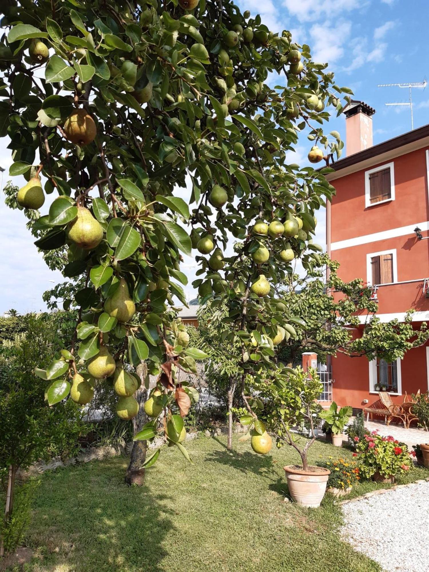 B&B Casa Del Conte Soligo Zewnętrze zdjęcie